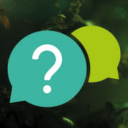 Image for choice number 2